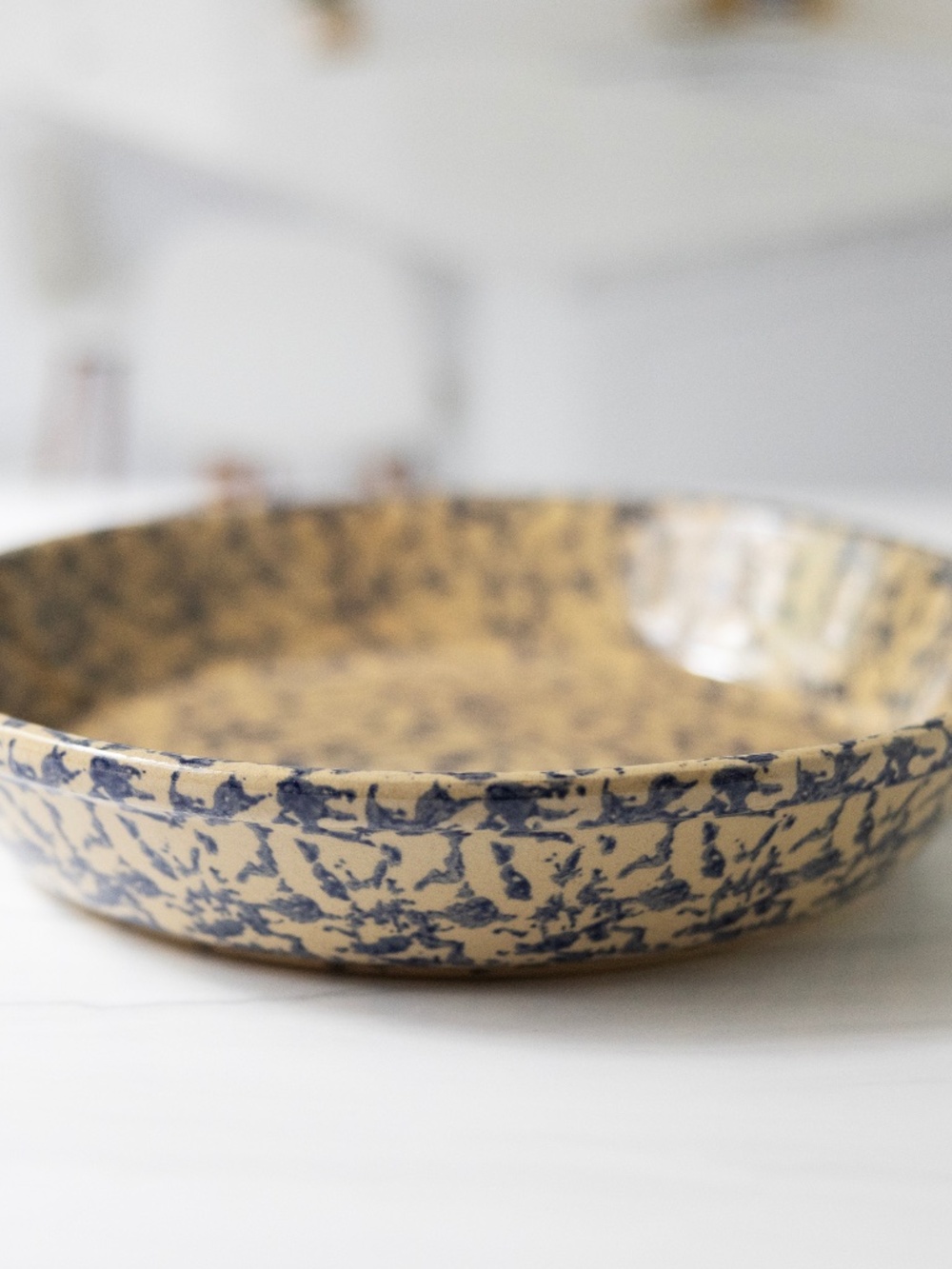 Robinson Ransbottom Pottery Roseville Spongeware Stoneware 9.5 Inch Pie Plate